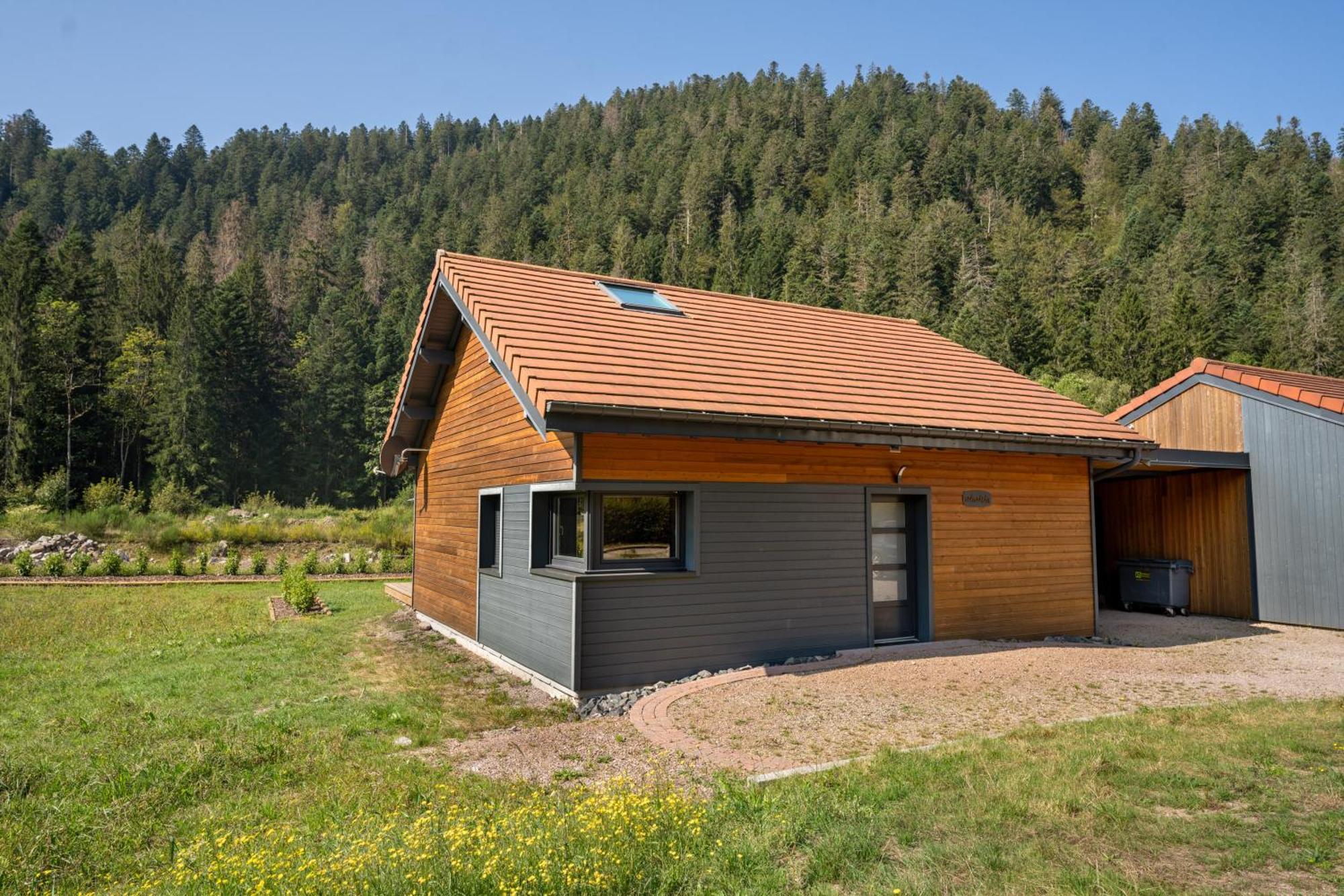 Chalet Nemesia Avec Spa A Gérardmer Dış mekan fotoğraf